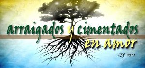 arraigados-y-cimentados